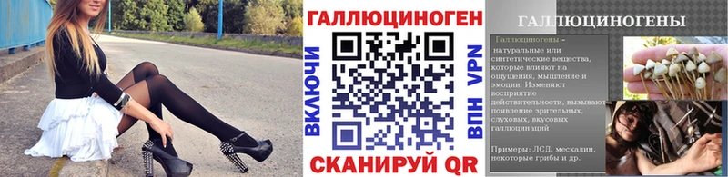 Псилоцибиновые грибы Psilocybe  Купить закладки  Темников 